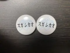 【レア/未使用】スガ シカオ RSR 缶バッジ ライジングサン スガシカオ
