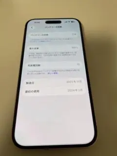 Apple iPhone 15 128GB バッテリー100%