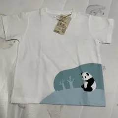 Item thumbnail for item c3ffb8e5-b200-4b30-90ba-846aebda8037