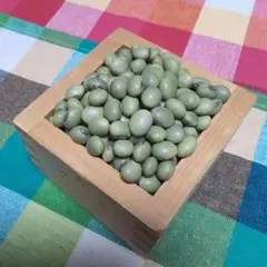 新潟県産　青大豆　令和７年産　良品　大粒200g　中粒100g 【料理画像あり】のサムネイル
