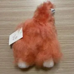 Item thumbnail for item 748a0a65-f1cf-4fbb-b758-61f28e13a635