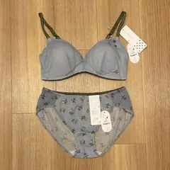 ウンナナクール　PEANUTS 364日つけたくなるブラジャー　ショーツ　L