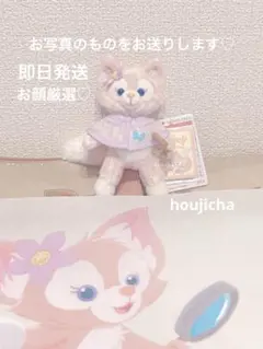 即日発送　新品未使用　ダッフィー＆フレンズ　リーナベル ぬいぐるみバッジ