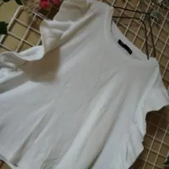 ❥フZARAザラ❥フリルシャツ