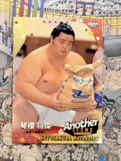 大相撲 BBM 2026 SUMO CARDS another 琴櫻のサムネイル