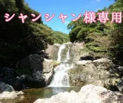 シャンシャン様専用