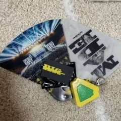 BIGBANG D-LITE テソン ポストカード キーチェーン チャームセット