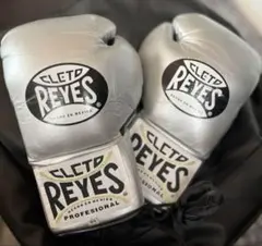 CLETO REYES プロフェッショナル ボクシンググローブ シルバー
