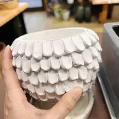 maa2525様　専用　よろしくお願いいたします(*^-^*)