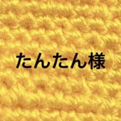 専用出品 たんたん様