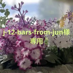 j‐12‐bars-from-jun様専用です