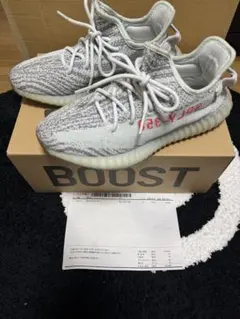 adidas YEEZY Boost 350 V2 Blue Tint