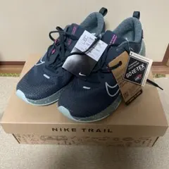 Item thumbnail for item 2de7504f-3f99-47af-aeb1-5ab324deeb3a