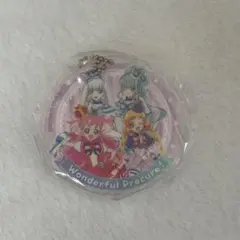 わんだふるぷりきゅあ アクリルチャーム