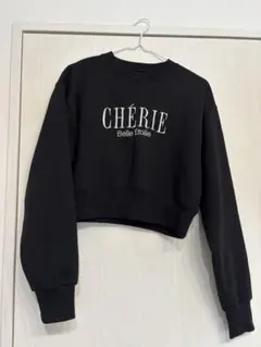 Item thumbnail for item d265576b-af26-4ee7-b642-391e75bb6621