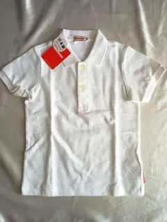 Item thumbnail for item a9aeb6fa-3f61-4876-8deb-bb4c6d2c2a5a