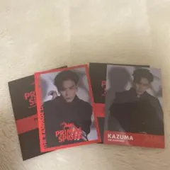 PRIMAL SPIDER 川村壱馬　フォトカードセット