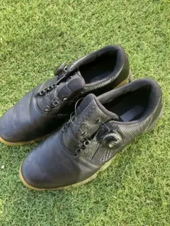 Item thumbnail for item 83f5e87a-9ca0-46d2-baf2-391df83098b3