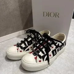 2026年最新】並行輸入品 dior 靴の人気アイテム - メルカリ