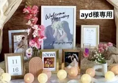 【再販】ウェルカムスペース ウェディング 春婚　ウェルカムボード　白布付き！