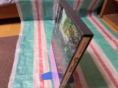 Item thumbnail for item c0eb2b25-9963-4508-8acf-1309466caf09