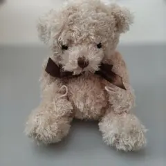 テディベア　くまのぬいぐるみ