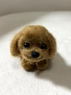 羊毛フェルト トイプードル ぬいぐるみのサムネイル