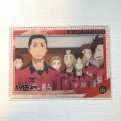 ハイキュー!!音駒高校 クリアカードコレクション5