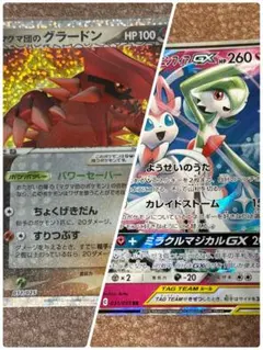 あさかた様専用