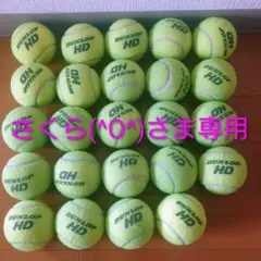 さくら(^O^)様専用