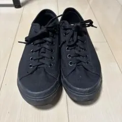 Item thumbnail for item 8ef977dc-edfb-4862-beea-6940b27e1fe2