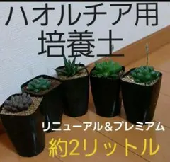 シオン様 リクエスト 4点 まとめ商品