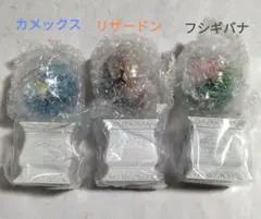 ポケモン 　テラリウムコレクション15　3個セット