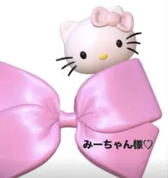 みーちゃん様専用
