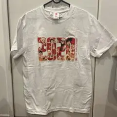 Item thumbnail for item cec32f4a-e2d1-4fcd-a17a-8251a0b5abe3