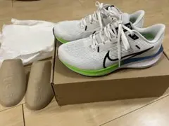 nike pegasus 40 26.5cm 美品・付属品あり