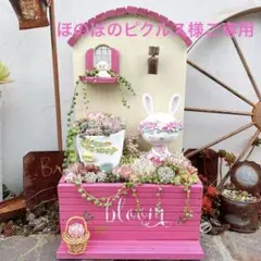 ☆ほのぼのピクルス様ご専用～多肉植物寄せ植え★特大うさぎさんHOUSE寄せ～★☆