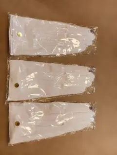 Item thumbnail for item e88c2070-c16e-4fb1-bace-27199f124b88