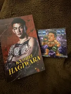 Item thumbnail for item 403bb04c-251c-4848-bd2e-0d9016a697ea