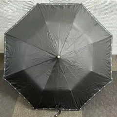 Item thumbnail for item 05bbf35d-b94a-4527-a081-0b7005e40997