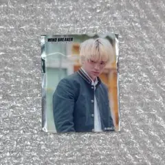 WIND BREAKER 楡井秋彦 木戸大聖 トレーディングカード 映画