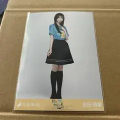 乃木坂46 生写真 真夏の全国ツアー2025 静岡 ライブT 矢田萌華