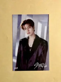 straykids スンミン トレカ