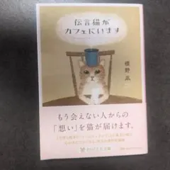 伝言猫がカフェにいます