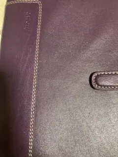 Item thumbnail for item 569c482c-2055-4574-b4d4-6762298d994e