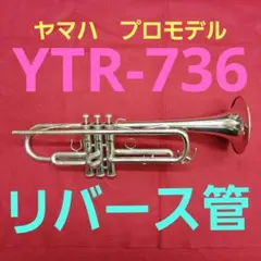 Item thumbnail for item 048ac225-b325-40a3-b76e-b27f3884cba1