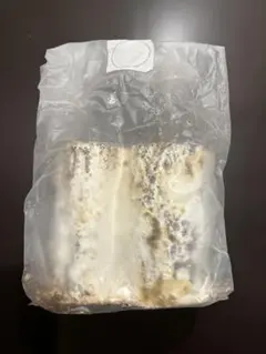 Item thumbnail for item 083747fb-2d71-4ac8-b2a6-abd537bdc4f7