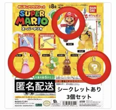 スーパーマリオ めじるしアクセサリー2 カプセルトイ