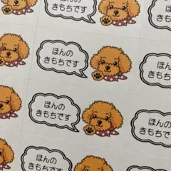 ちゃあ様 リクエスト 3点 まとめ商品