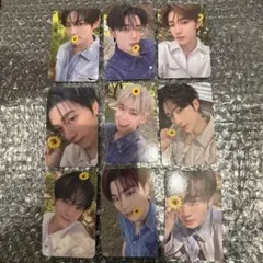 ヨントン MusicKorea 花トレカ ゼベワンコンプ